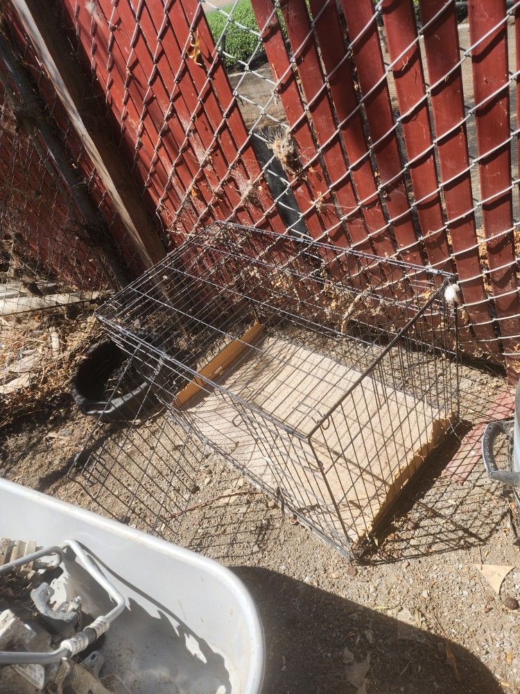 Cage