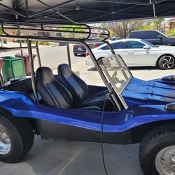 MGM/FRP LONG BODY MANX BUGGY ROLL CAGE