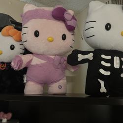 Hello Kitty Greeters 