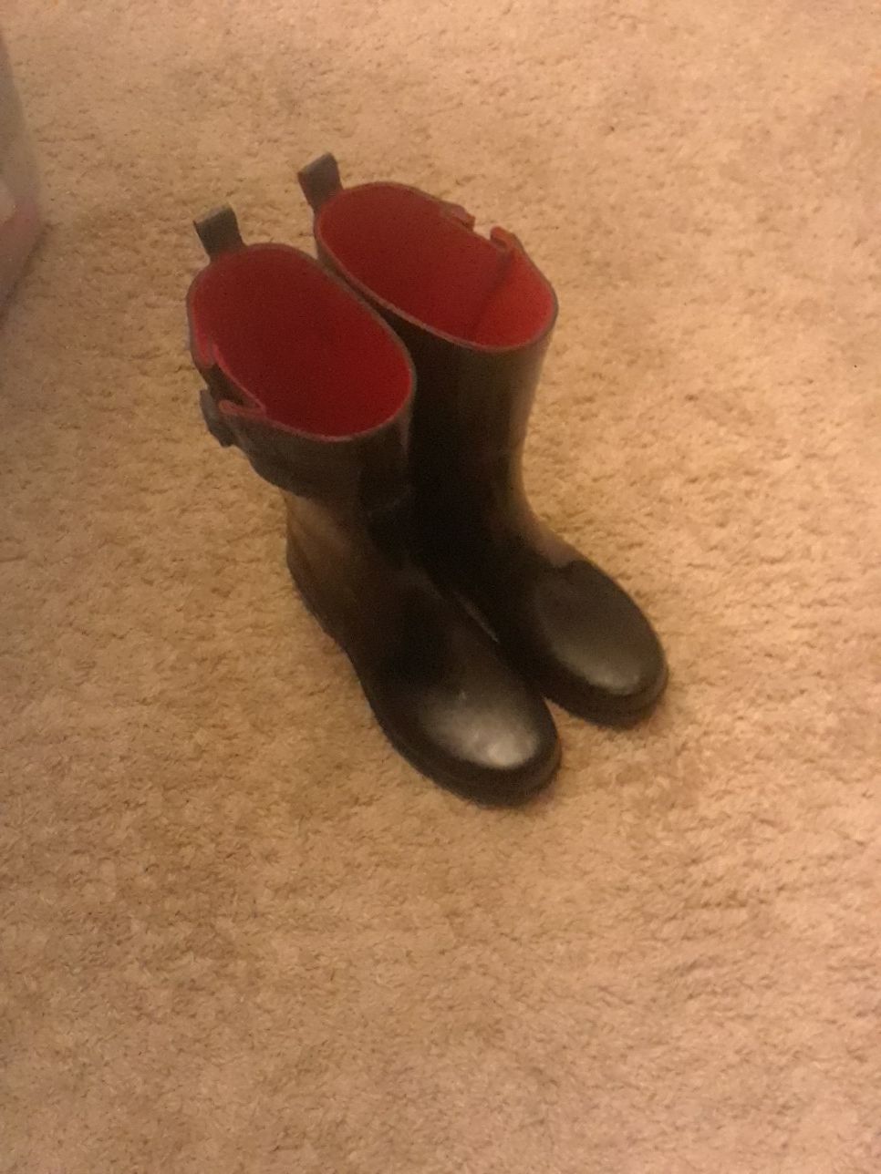 Capelli New York size 6 rain boots