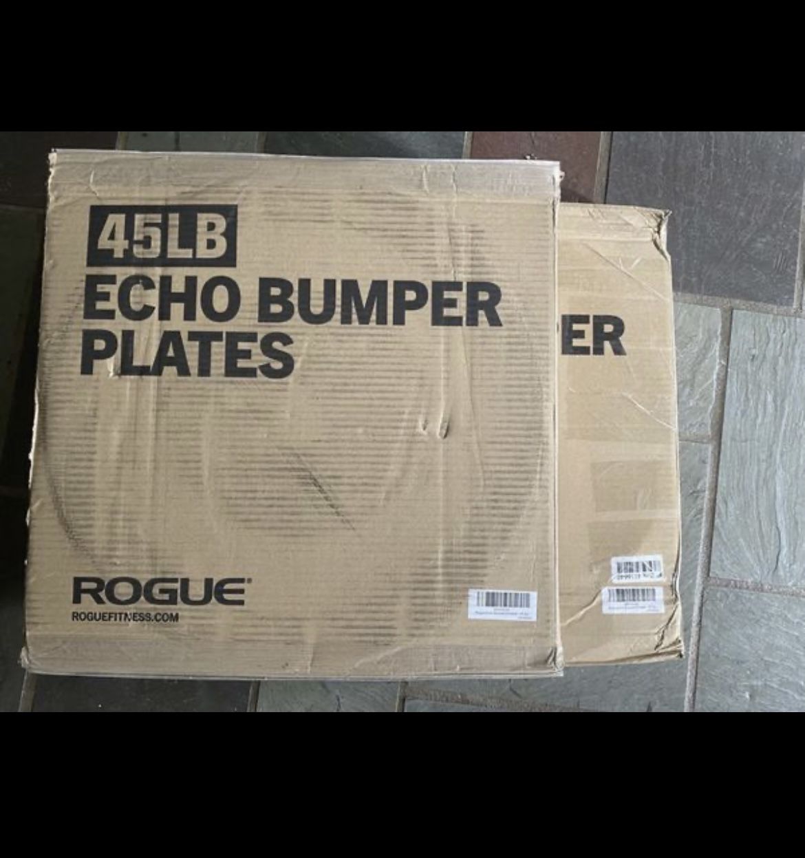 Brand New Rogue Fitness 45 lb Echo V2 Black Bumper Plate Set Weights Pair - 90 lbs Total