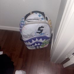 backpack/sprayground