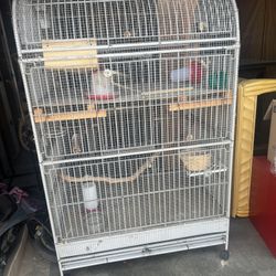 Bird Cage 