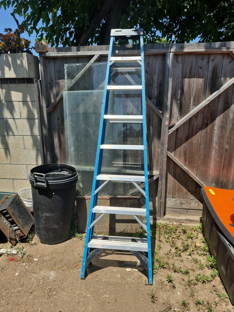 Warner 8 Ft Ladder