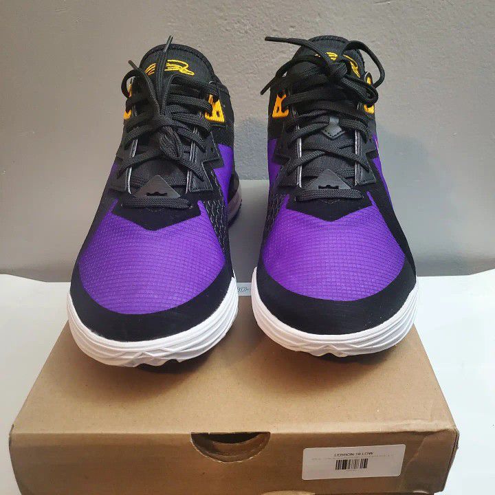 Nike Lebron XVIII Low EP 18 James ACG Terra Lakers