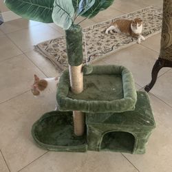 Palm Cat Tree