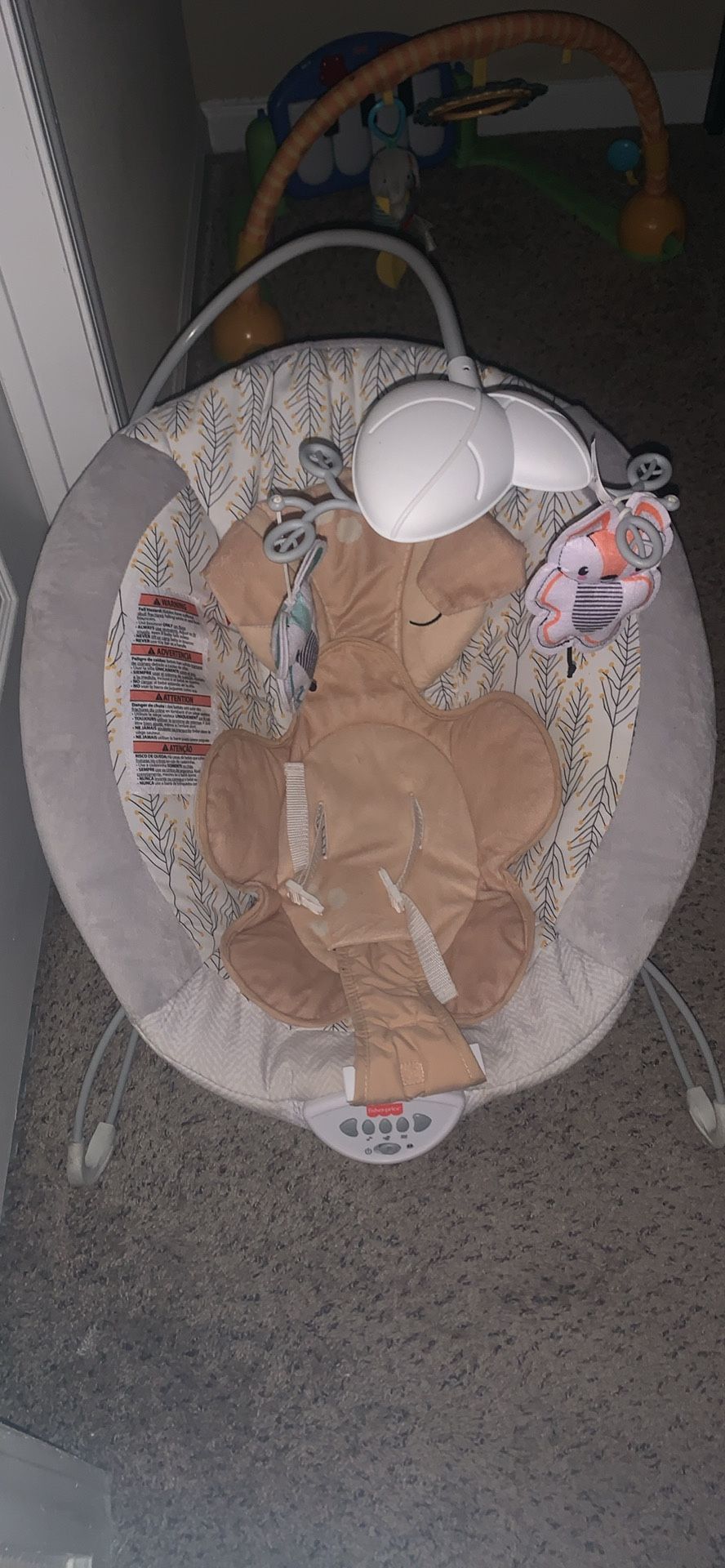 Baby Bouncer