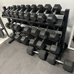 5-50lbs Dumbbells w/Rack 