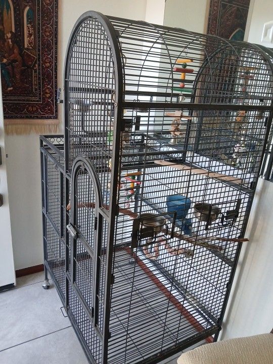 Large cage for birds 