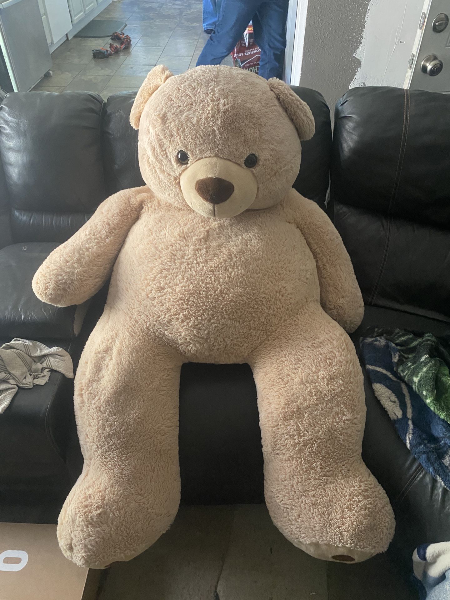 Giant Teddy Bear