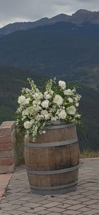Wine barrel for sale