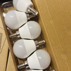 6 LED bulbs New - G45