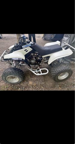 Yamaha warrior