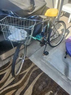 Bicycle
