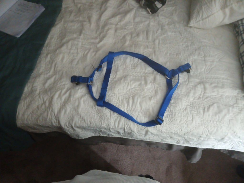 A All Blue Large Dog Harness That's Nearly Brand New
