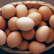 Fresh eggs