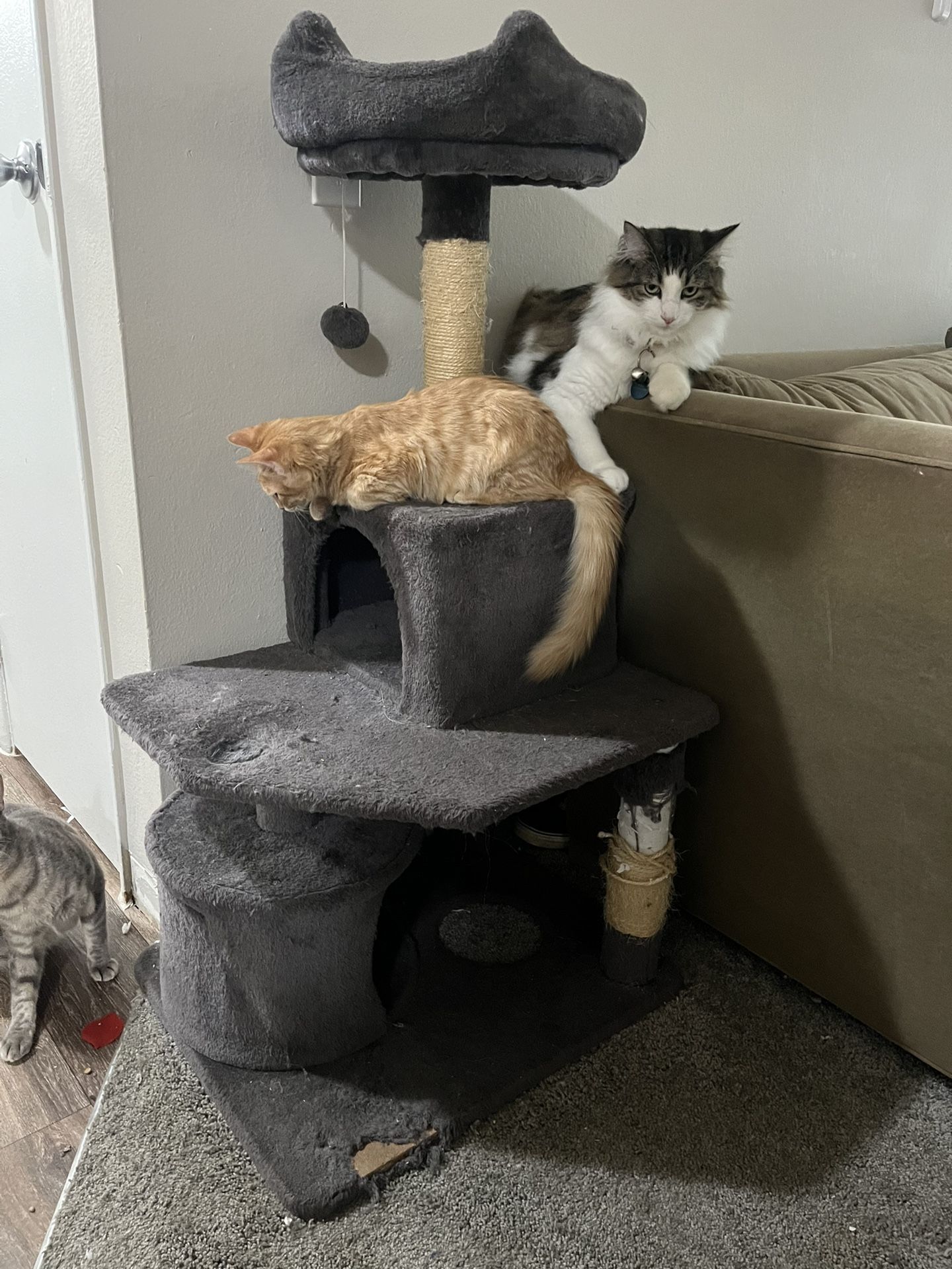 Small Cat Tree