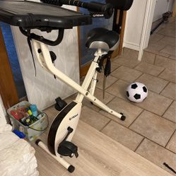 FitDesk Bike 