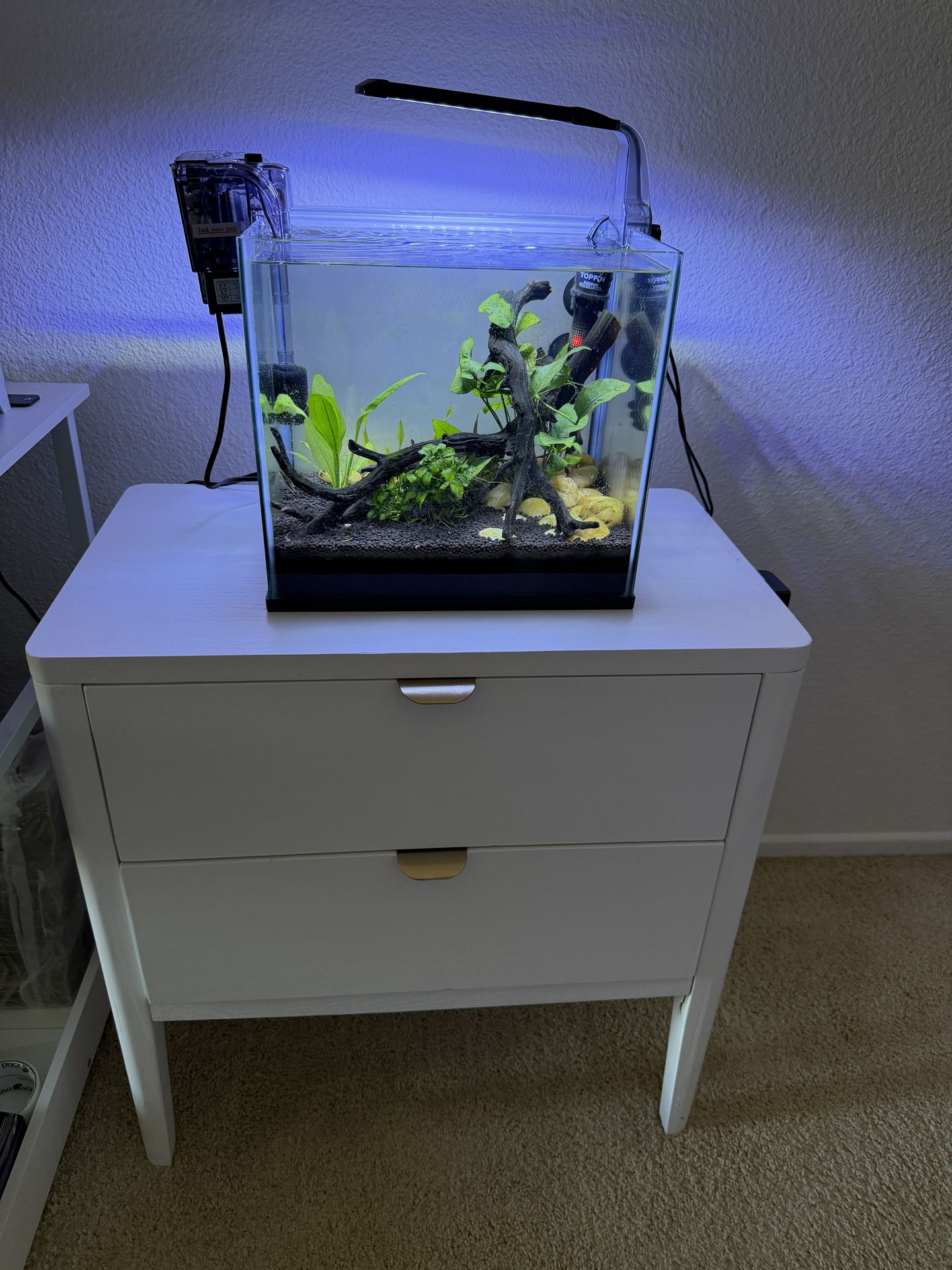 6 Gallon Fish Tank Aquarium with Stand