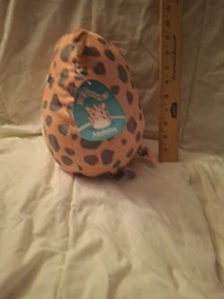 Aquitine the pig