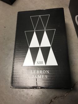 Lebron James gently used