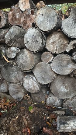 Seasoned firewood