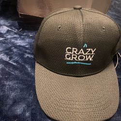 Red Light Therapy Hat