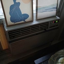 Window Ac 100