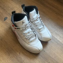 Jordan 12 Size 11