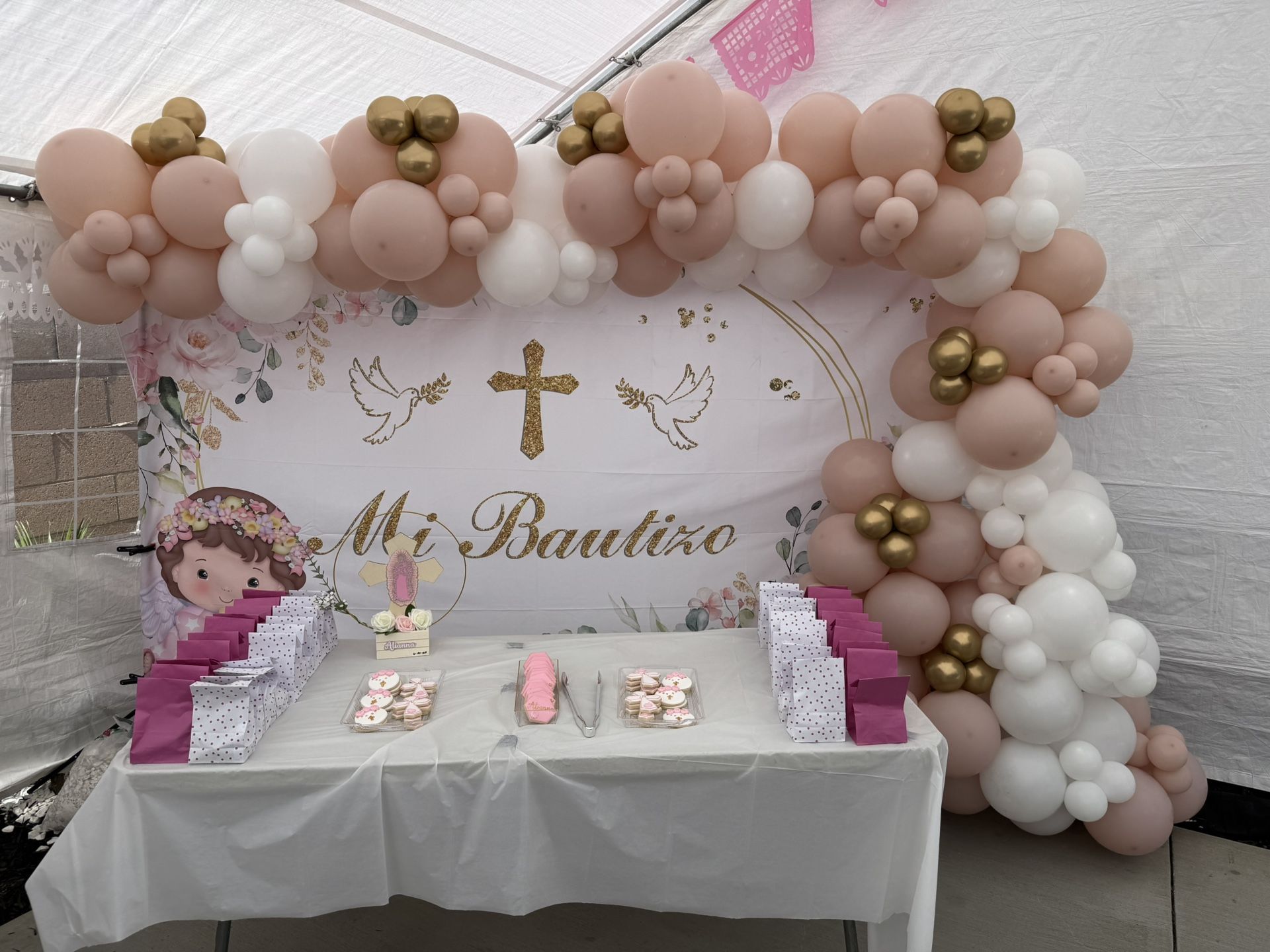 Backdrop Only