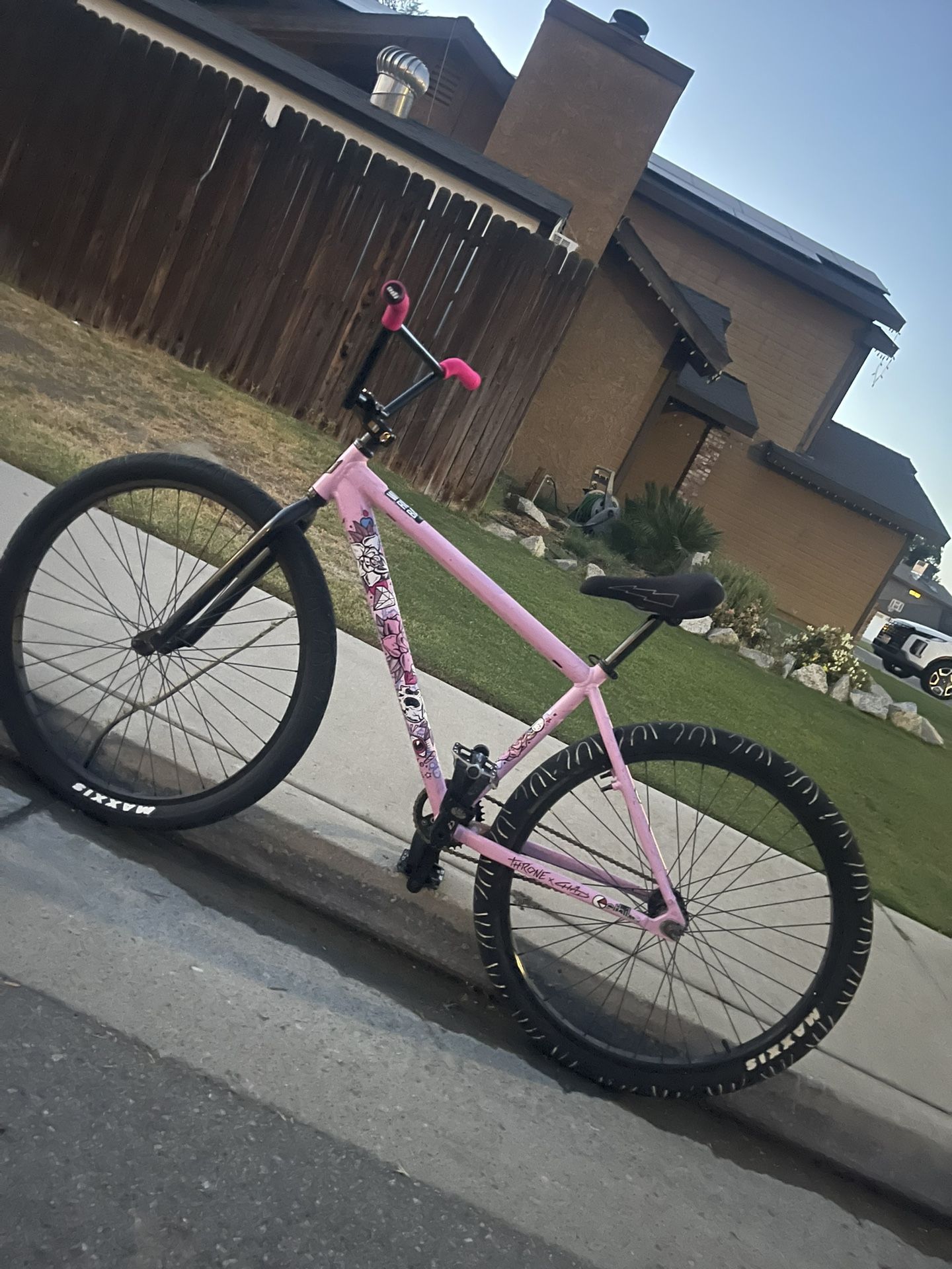 29er Throne Pink Chad 