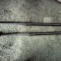 Chevy Equinox Hatch Struts Pair