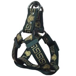Full Set Harness Collar Leash 