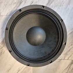 12" Subwoofer 
