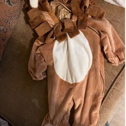 Lion Halloween Or Birthday Costume /thick & / Warm Material / Very Comfortable, Like New Boys Size 12/24 Months