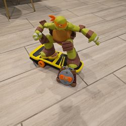 R/C Michelangelo 