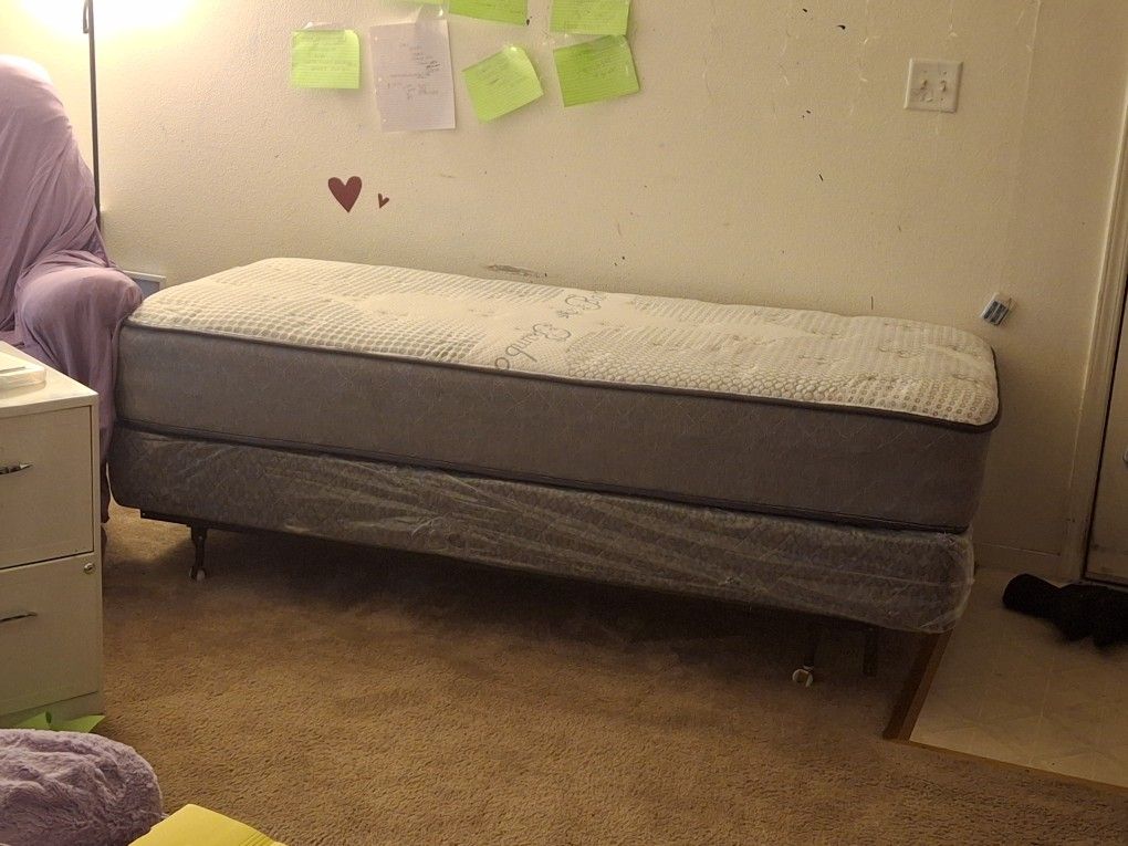 Twin Mattress Set