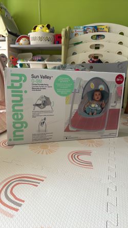Canopy Portable Swing