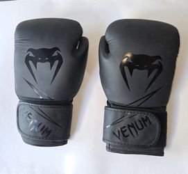 Venom 12oz Boxing Gloves