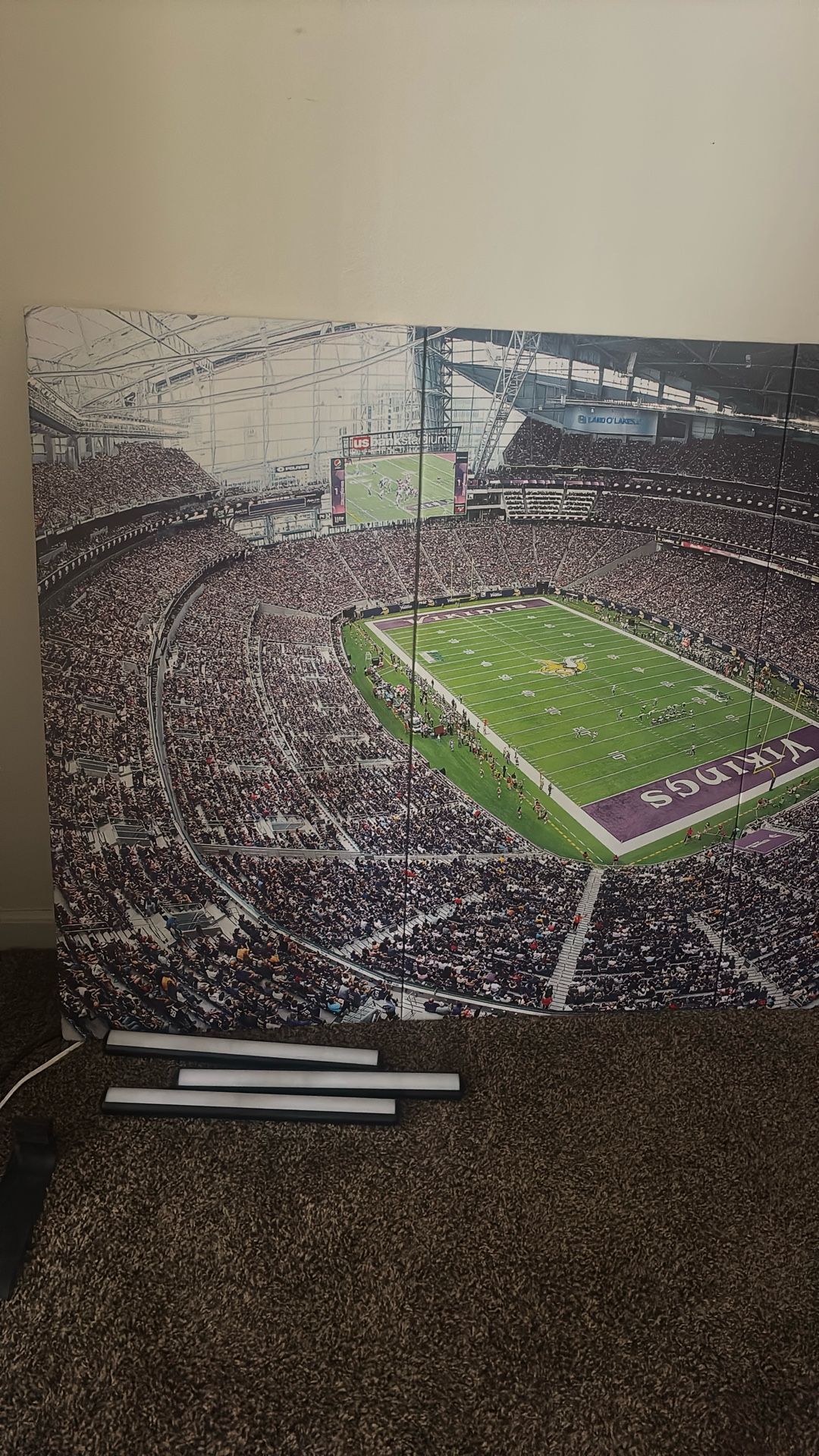 Vikings Stadium Picture Frame