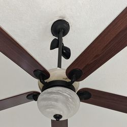Hampton Bay Ceiling Fan 52"
