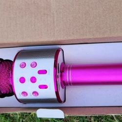 Pink microphone