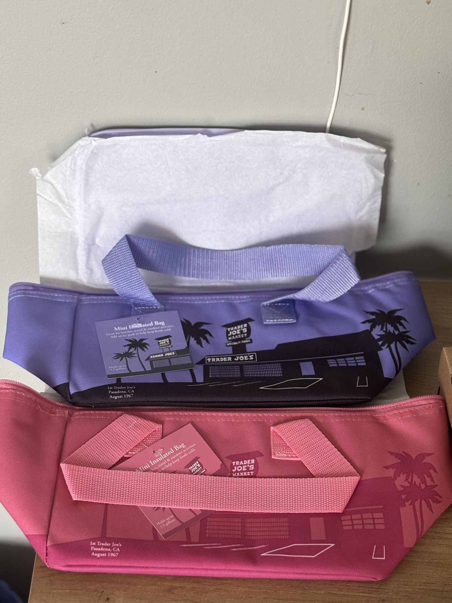 Trader Joe’s Insulated Coolers