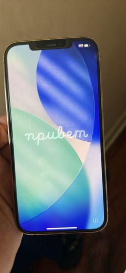 Phone 12 pro max