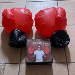 The Big Boxer