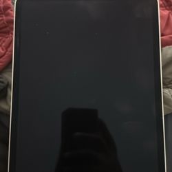 iPad Pro 
