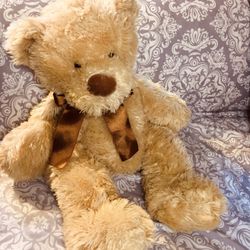 Bear For Valentines 
