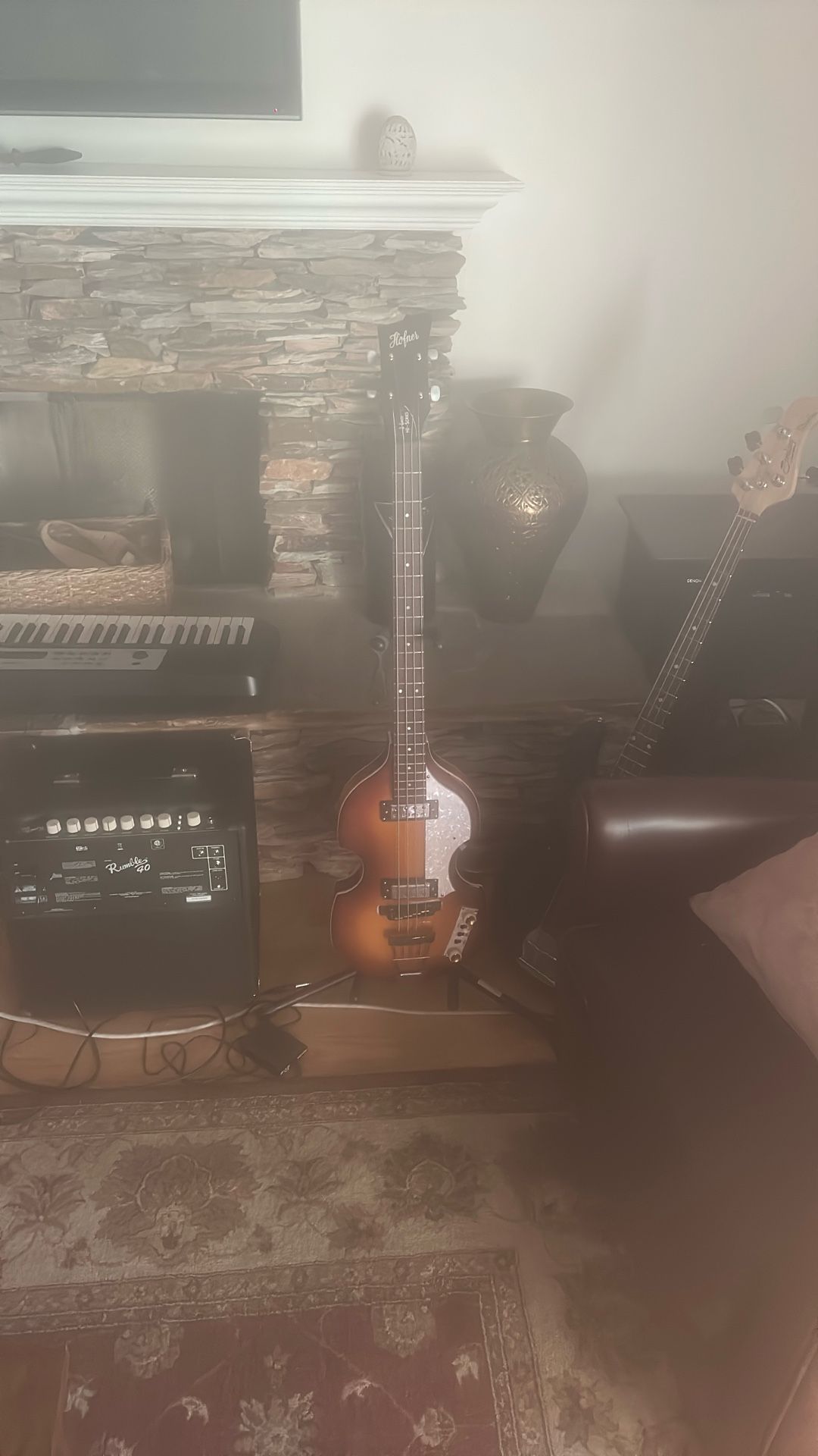 hofner viola bass