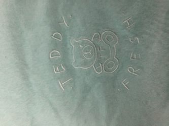 Teddy fresh shirt