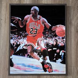 Michael Jordan Frame